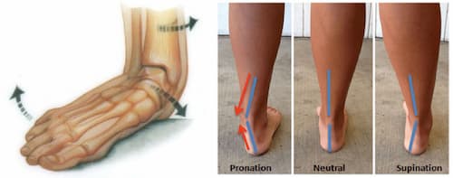 posterior-tibial4